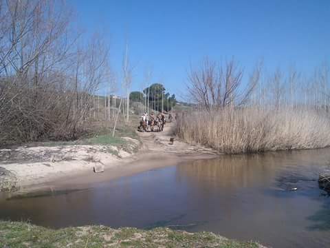 presumede-montejo-de-arevalo-fiestas-pueblo