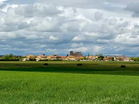 presumede-montejo-de-arevalo-fiestas-pueblo