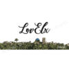 Detalle diseño Love Elx